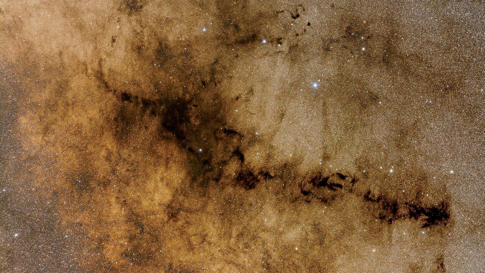 Der Pfeifennebel im Sternbild Schlangenträger ist ein Komplex aus mehreren Dunkelwolken. CEDIC Team und Bernhard Hubl / CCD Guide