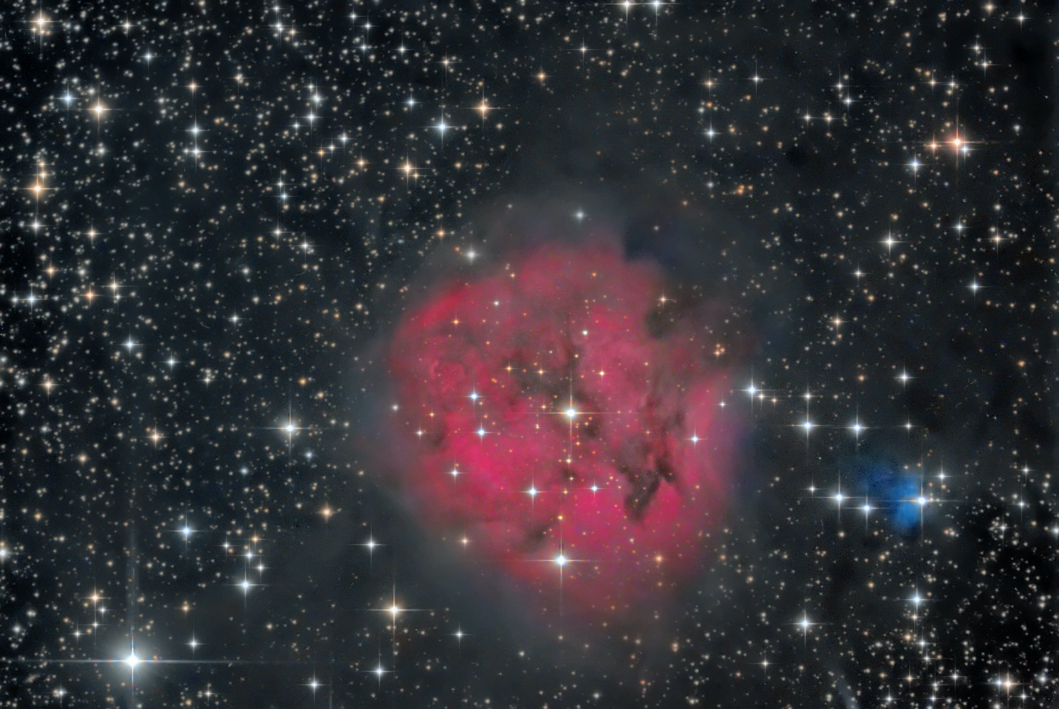 Nébuleuse du Cocon IC 5146, photo : Carlos Malagón