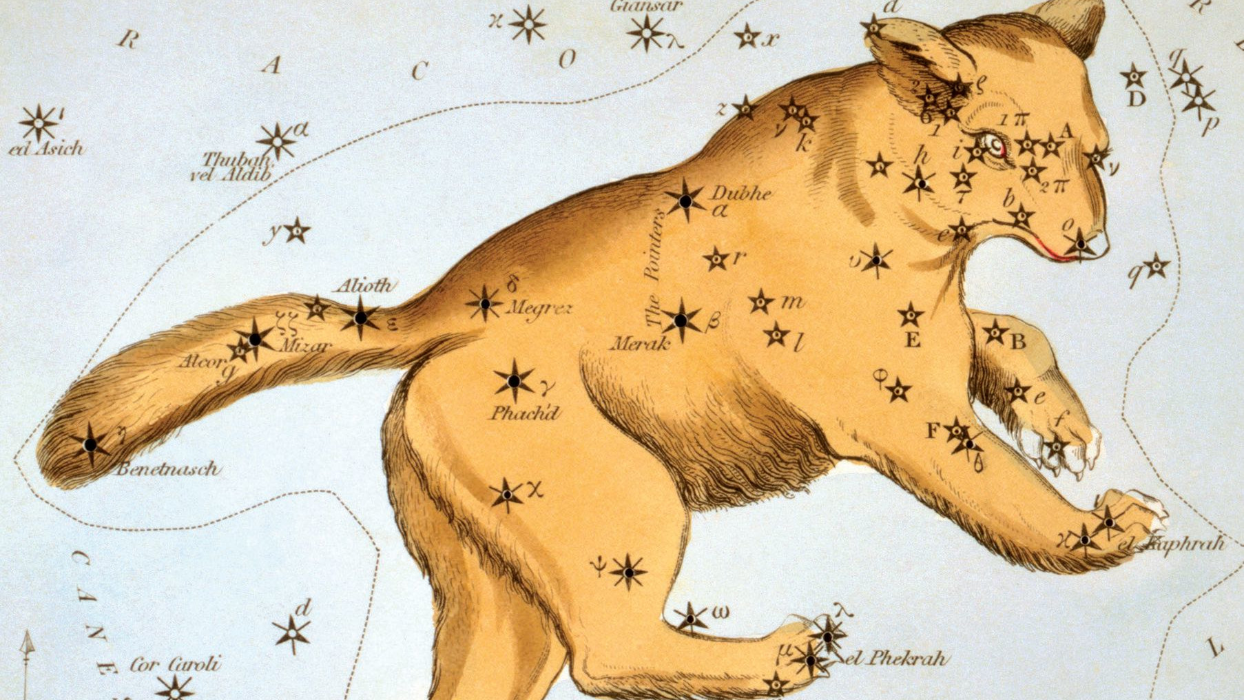 Dans la partie arrière de la Grande Ourse se trouve le motif d’étoile (astérisme) le plus connu : le Grand Chariot