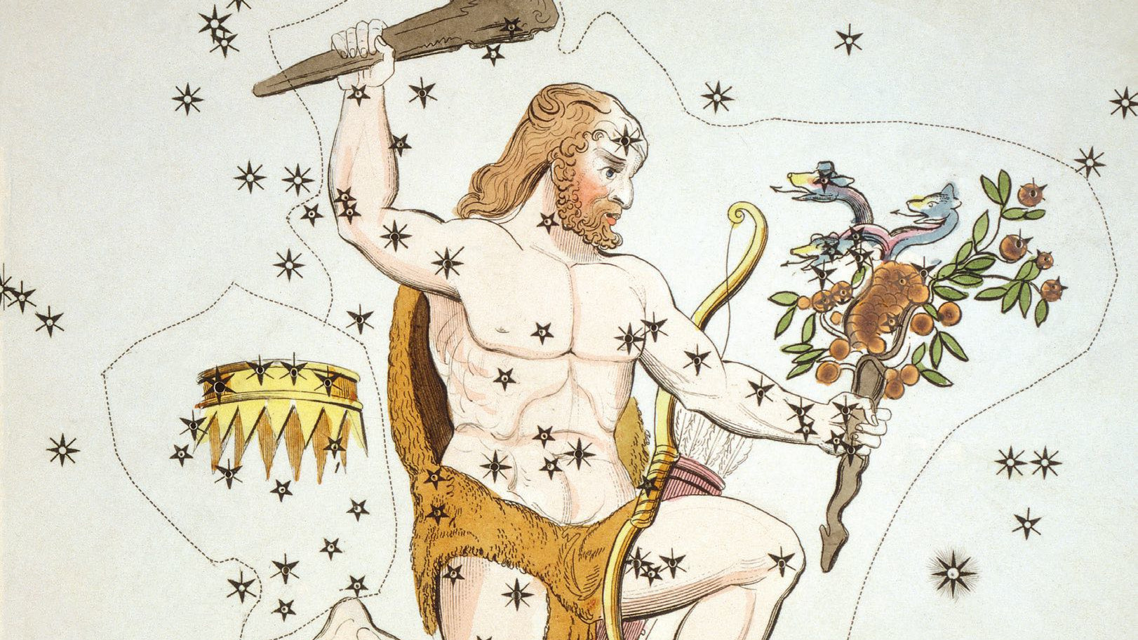 Auf historischen Abbildungen sieht man Herkules komplett mit einer Keule in der Hand, dem Fell des Löwen und
den gestohlenen goldenen Äpfeln dargestellt. 