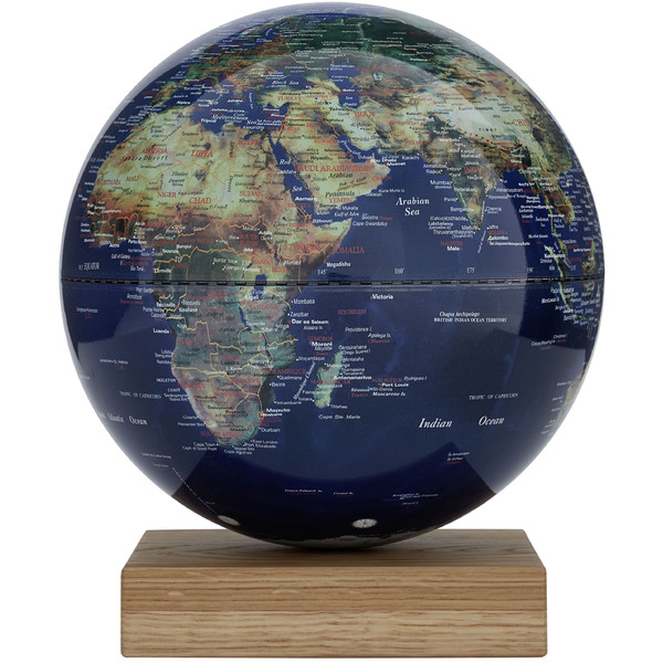 Globe TROIKA Platon Oak Physical 25cm