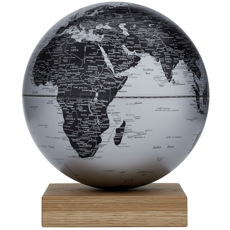 Globe TROIKA Platon Oak Matt Silver 25cm